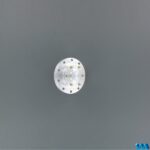 Felgenadapter vorne-0