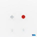 Auflieger Nebel- & Rückfahrscheinwerfer